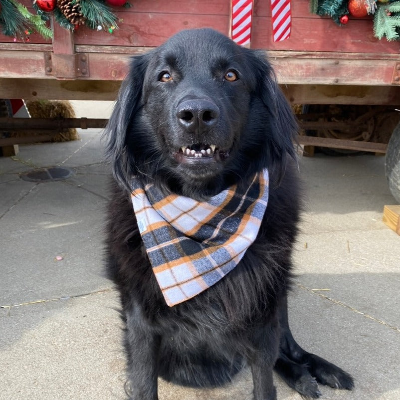 Winter dog outlet bandana