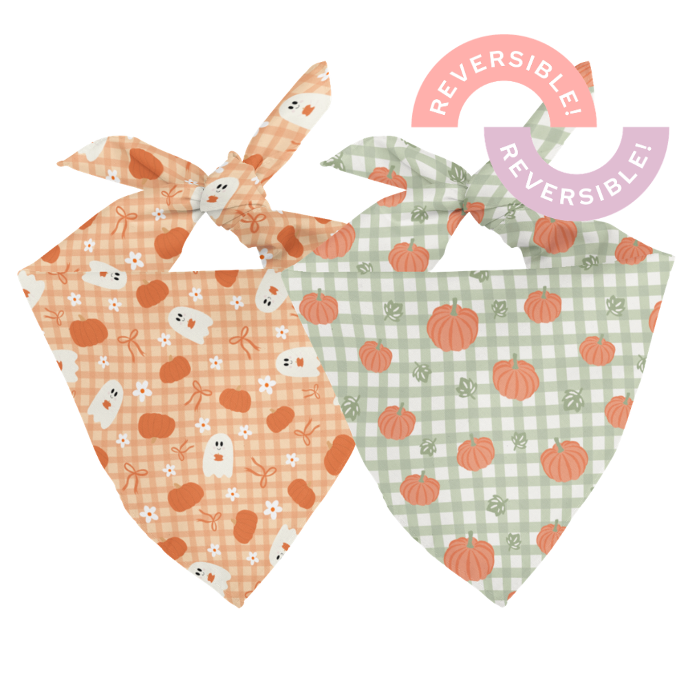 Two reversible dog bandanas with checkered and pumpkin patterns on a white background.