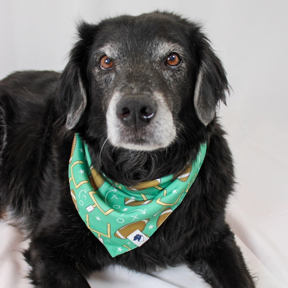 Football on sale dog bandana