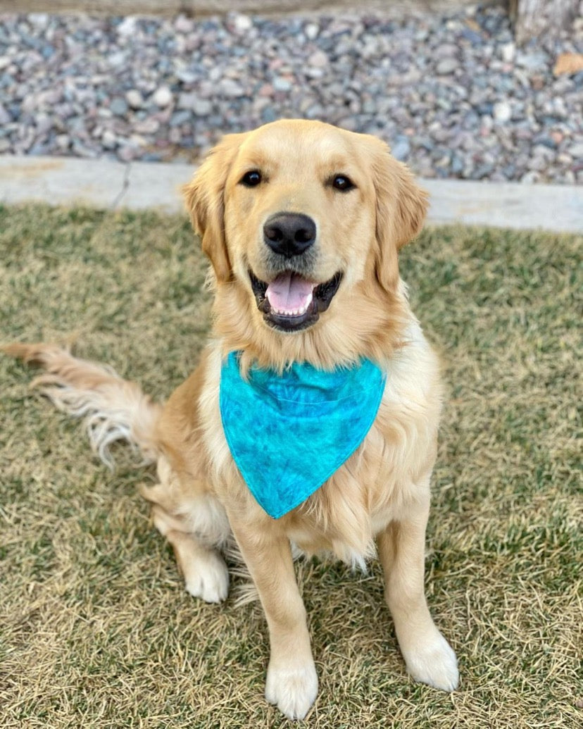 Cheap dog deals bandanas for sale