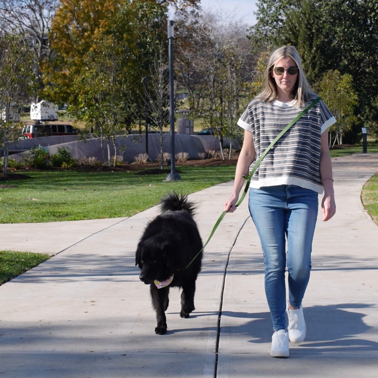 4x1 Waterproof Hands Free Dog Leash