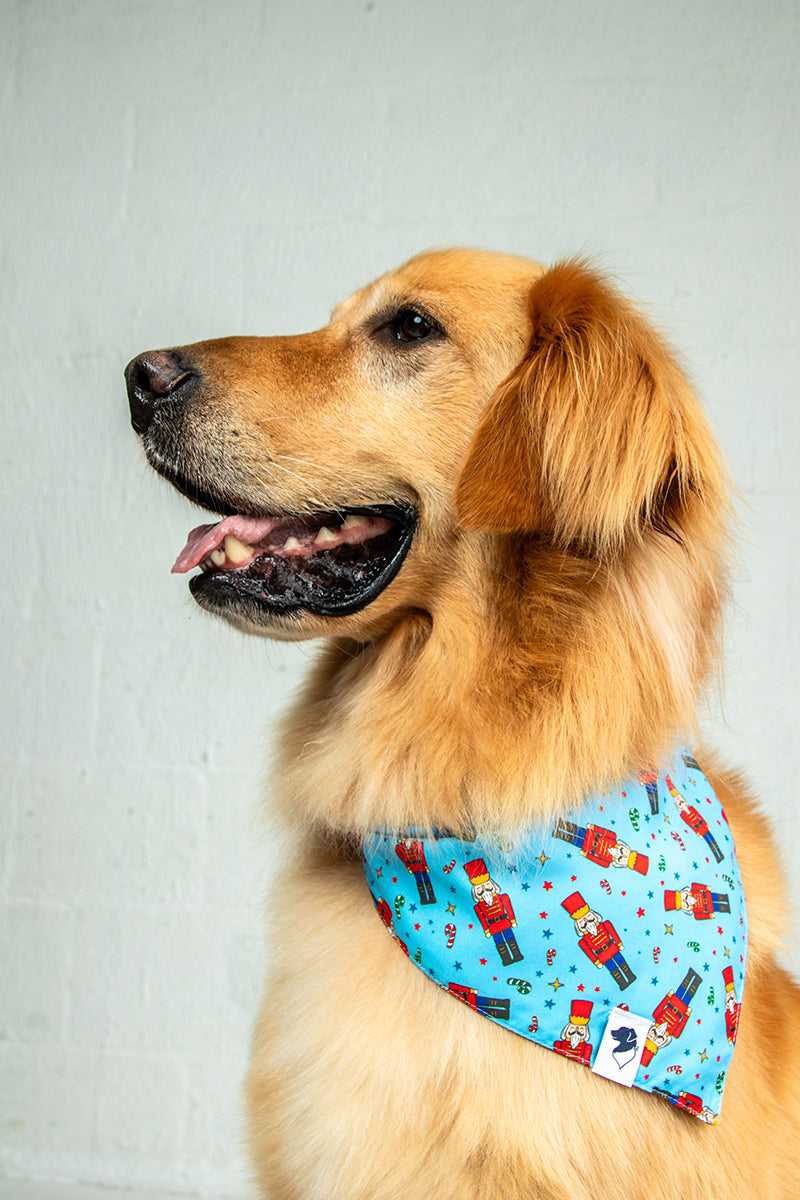 Golden Retriever wearing the Dog Bandana Co. Nutcracker & Red Truck Christmas Reversible Dog Bandana with the nutcracker side showing