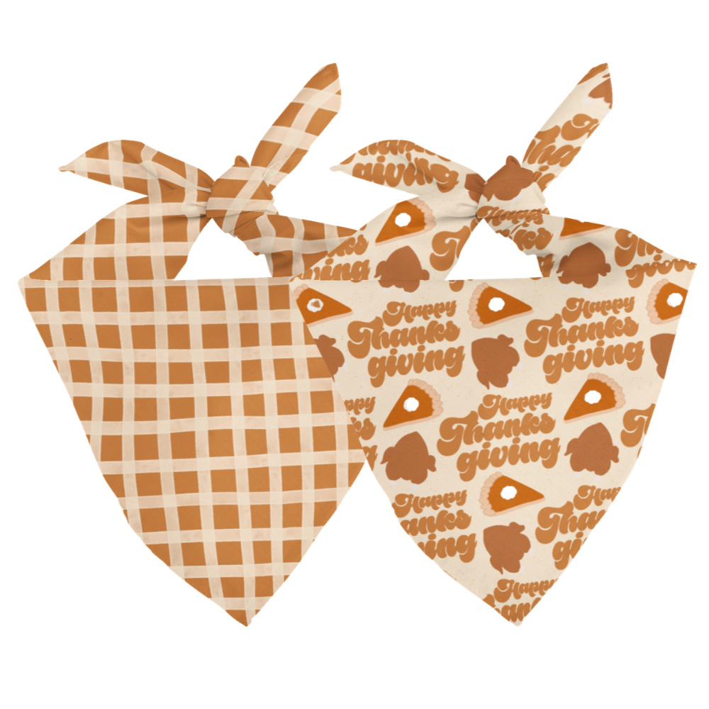 Thanksgiving Reversible Dog Bandana