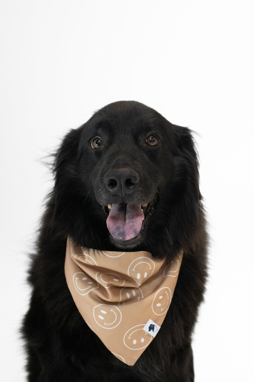 Smiley Face Double Sided Dog Bandana Image