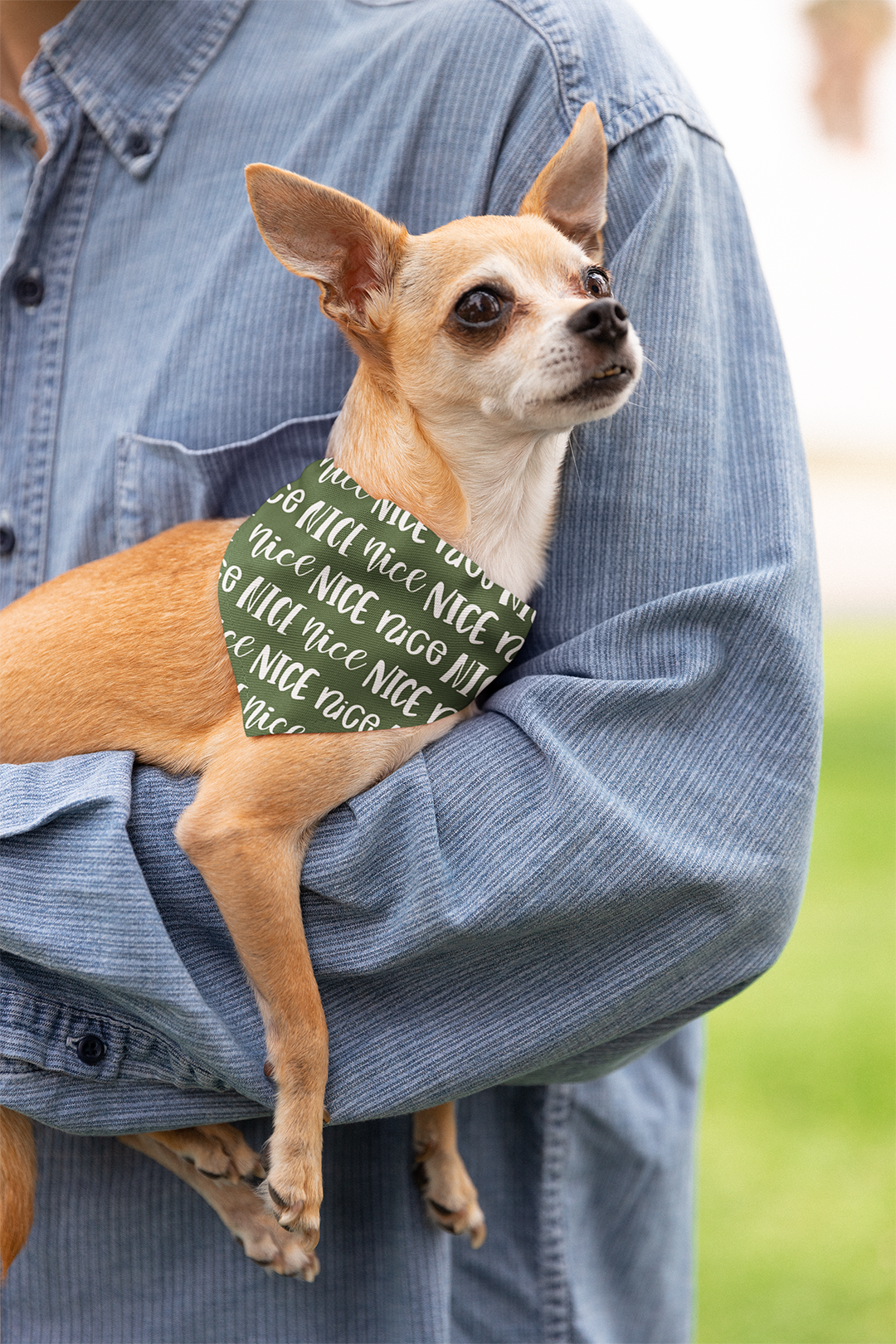 Naughty Nice Dog Bandana