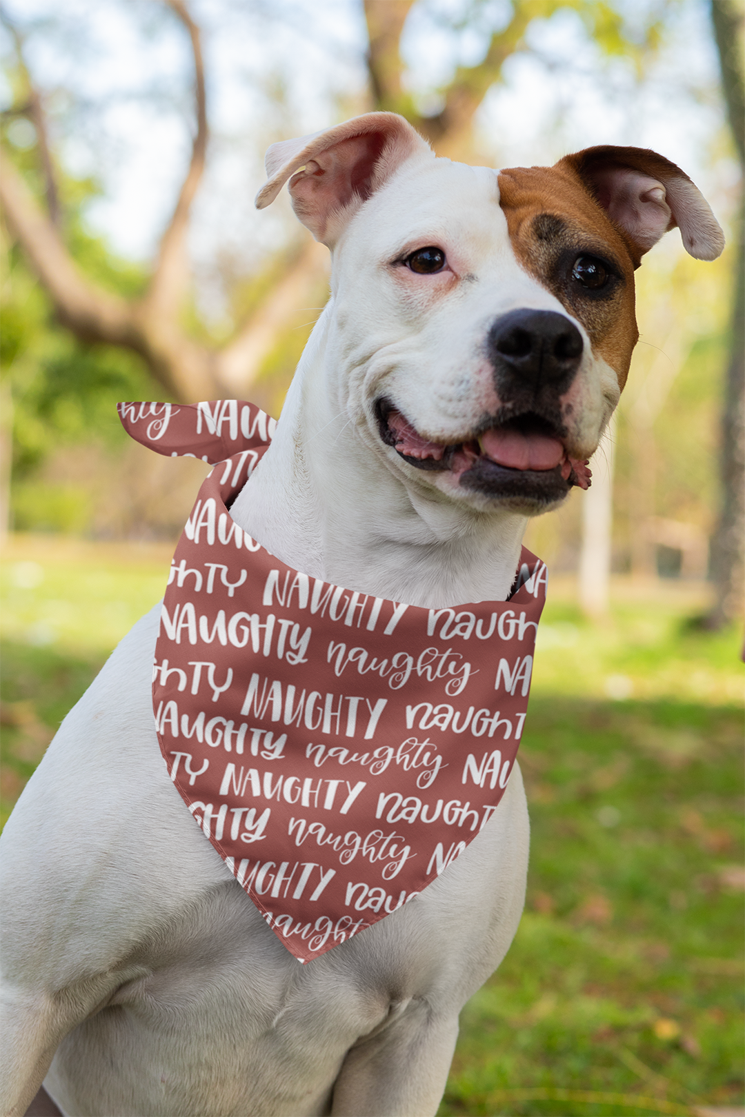 Naughty Nice Dog Bandana