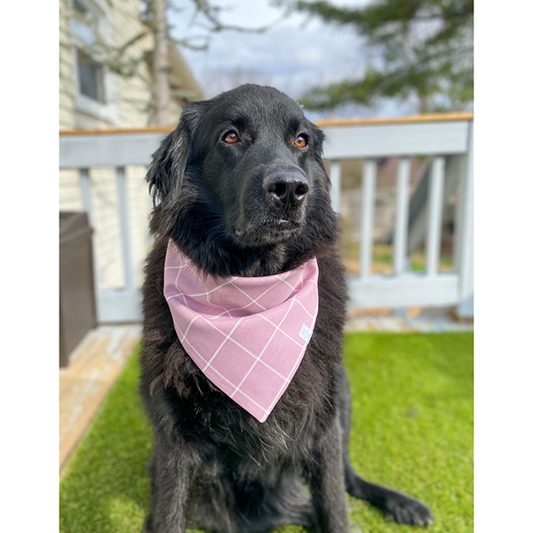 Plaid best sale dog bandana