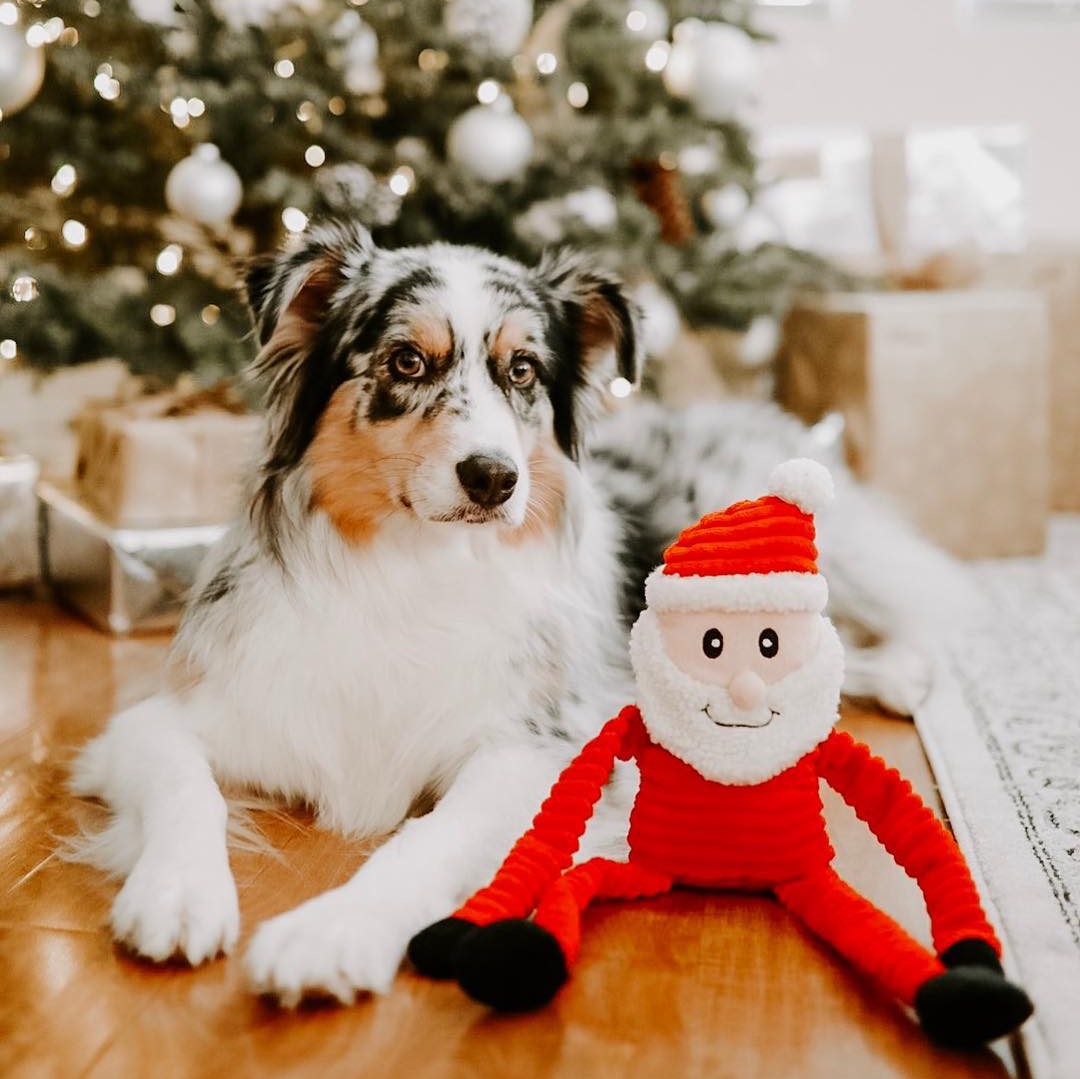 Santa Holiday Crinkle - Zippy Paws Stuffed Toy
