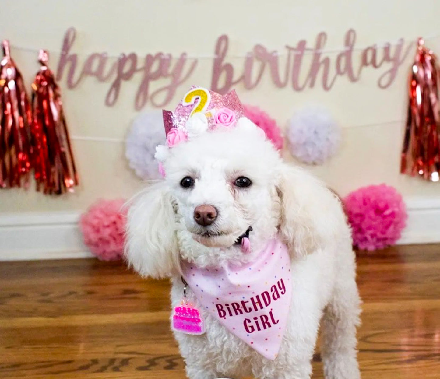 Birthday/Gotcha Day Dog Bandana